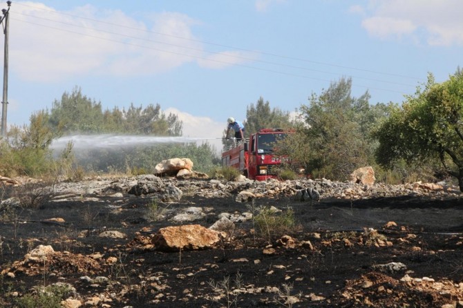 Gaziantep'te Dülük Tabiat Parkı'nda yangın