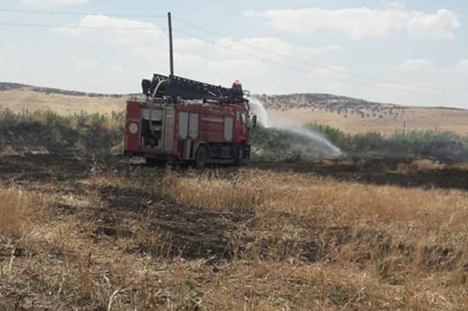 80 donim genim şewitî