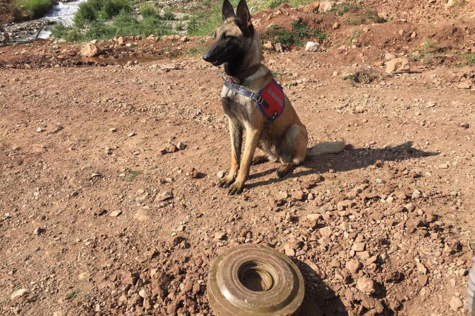 Pervari'de yola tuzaklanan EYP ve anti tank mühimmatı imha edildi