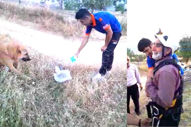 Siirt'te kuyuya düşen köpek, kuzular sayesinde kurtarıldı