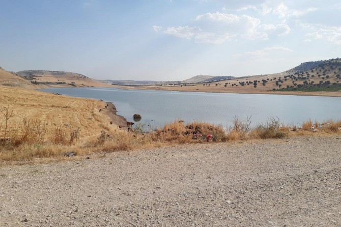Mazıdağı'nda gölete giren genç boğuldu