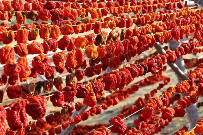 Gaziantep’te kurutmalık sebze sezonu başladı