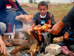 Suriye'de 10 Milyon Kişi Açlıkla Karşı Karşıya