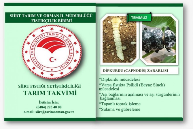 Siirt'te Fıstıkçılık Birimi'nden önemli duyuru