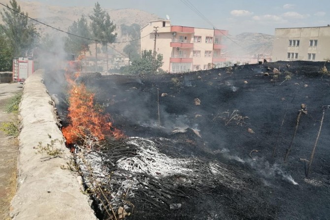 Kozluk'ta mezarlık küle döndü