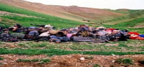 'Halepçe katliamı bir soykırımdır'