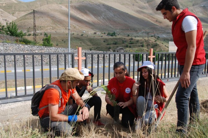 81 il ve dünya başkentlerinde ağaç dikmek için yola çıktı