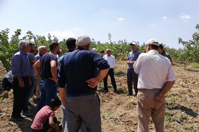 Batmanlı çiftçilere eğitim verildi