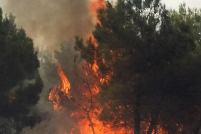 Dalaman'da orman yangını