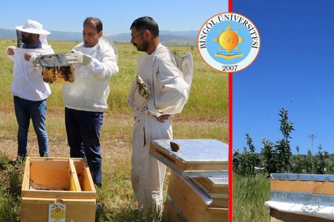 Bingöl’de bal üretiminde yüzde 56 artış sağlandı