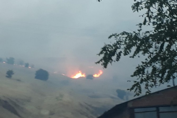 Sivrice ve Karakoçan'da yangın