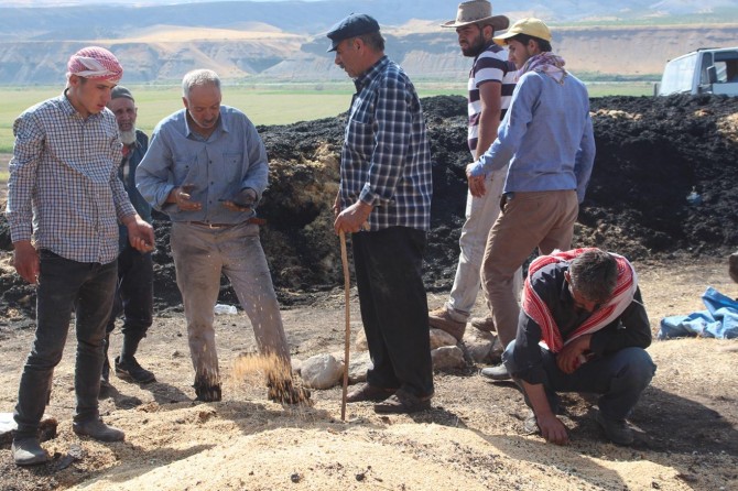 Siirt Yokuşbağlar köylüsünün bir yıllık emeği kül oldu