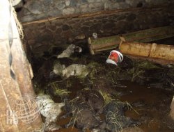 Karlıovada Sel Felaketi (Foto Galeri)