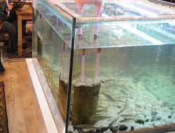 Uçan Balıklar Travel Turkey İzmir Turizm Fuarında