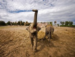 Fotoğraf Yarışması Sonuçlandı