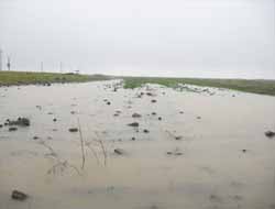 Yağmur ve Sis Hayatı Olumsuz Etkiliyor