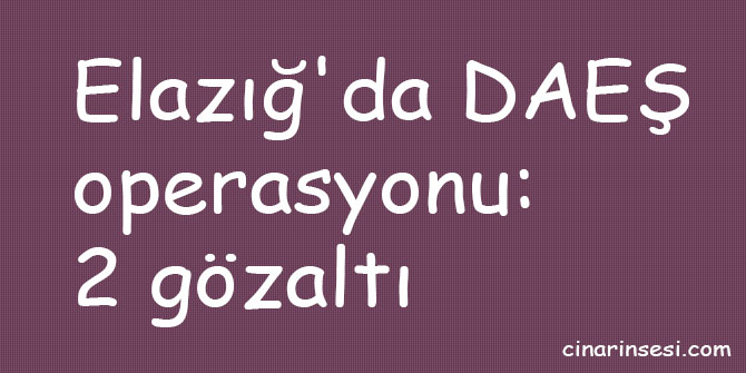 Elazığ'da DAEŞ operasyonu: 2 gözaltı