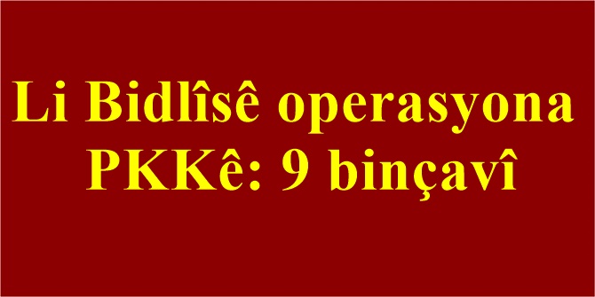 Li Bidlîsê operasyona PKKê: 9 binçavî