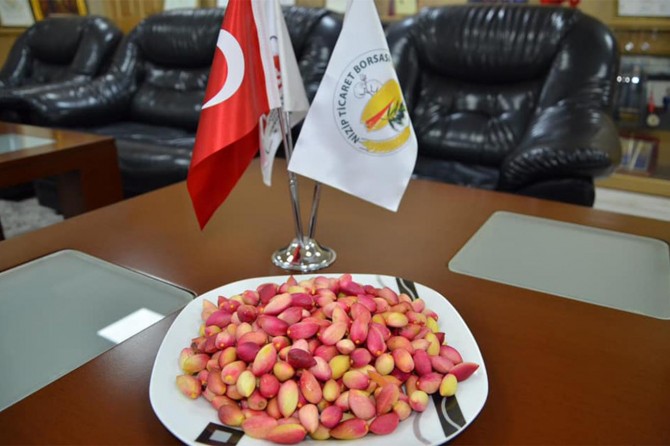 ​Gaziantep’te yılın ilk Antep fıstığına altın ödülü