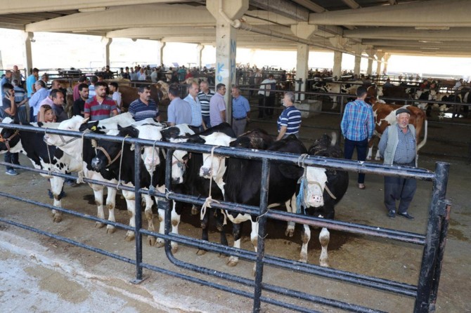 Kurban satışları bayrama doğru başlar