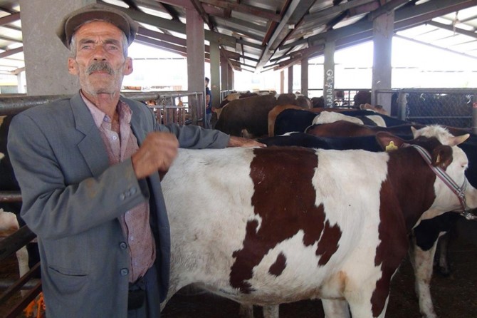 Kurban satıcıları artan yem fiyatlarına tepkili