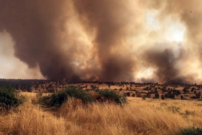 Mardin'de ormanlık alanda çıkan büyük yangın korkuttu