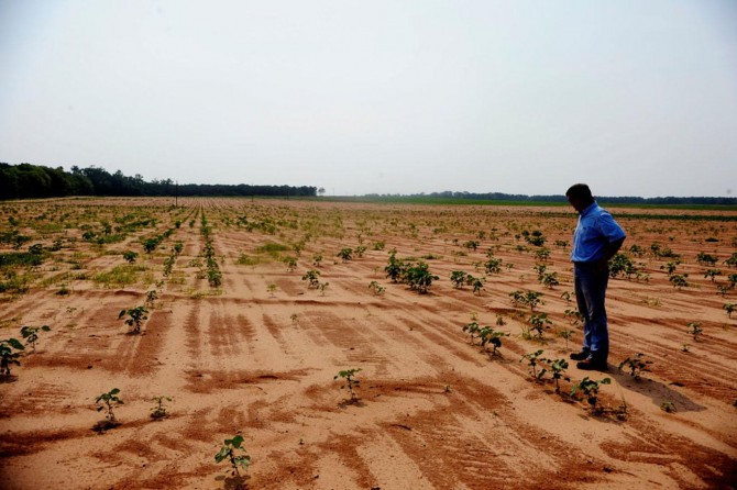 Dünya'nın 2019 yılı için doğal kaynakları tükendi