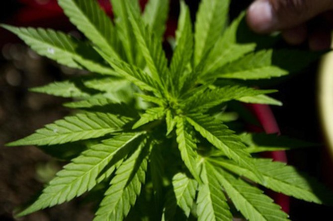 New York'ta uyuşturucu kullanımı suç olmaktan çıktı