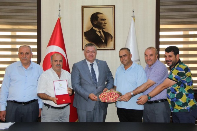 Gaziantep’te yılın ilk Antep fıstığı hasat edildi
