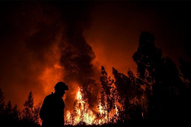 Rusya'da 3 milyon hektar ormanlık alan kül oldu