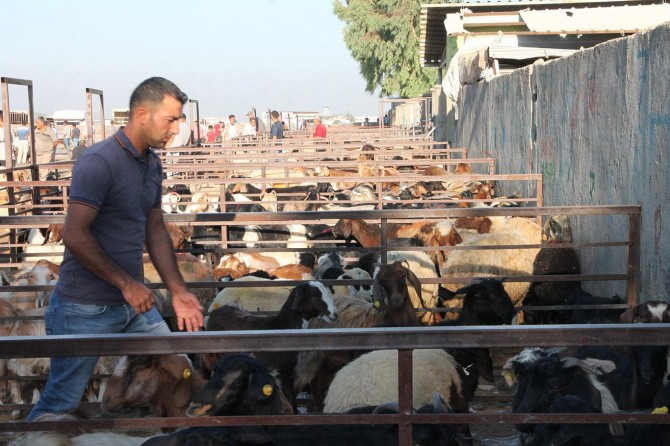 Hayvan pazarlarında durgunluk yaşanıyor