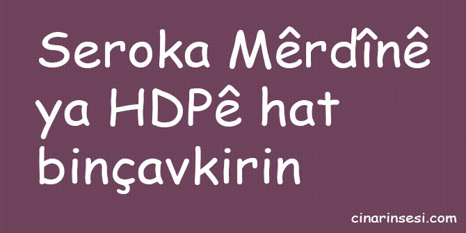 Seroka Mêrdînê ya HDPê hat binçavkirin