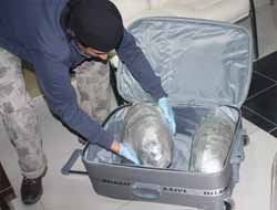 Bingöl'de Esrar ve Sigara Yakalandı