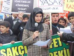 Tepkiyên Li Ber Qedexe Ya Tesetturê