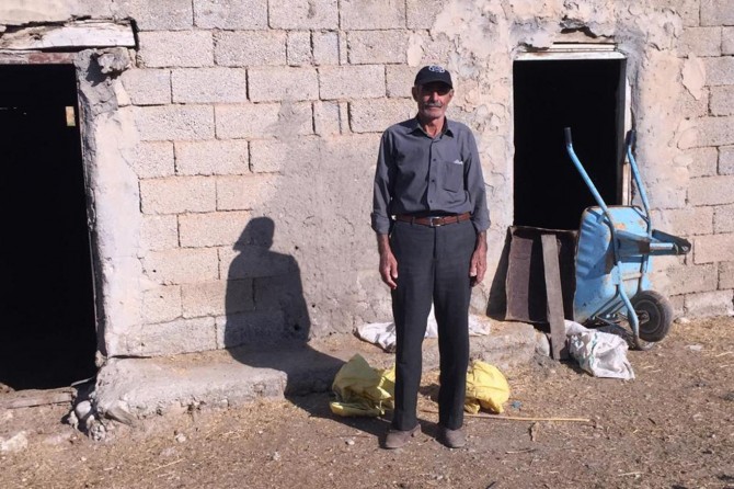 Beşiri'de çalınan ineklerinin bulunmasını bekliyor