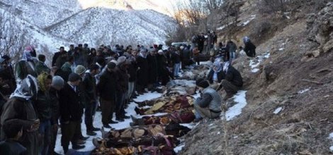 Roboskili ailelerden 'Şeref Madalyası' tepkisi