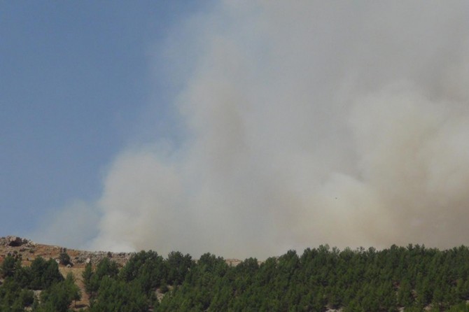 ​Adıyaman'da orman yangını