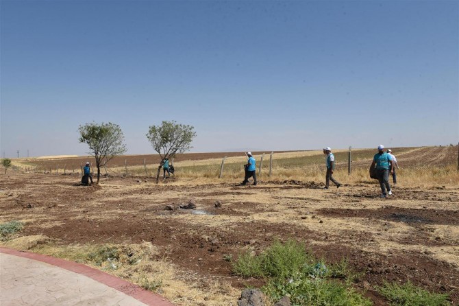 Batman'da 40 hükümlü çevre temizliği yaptı