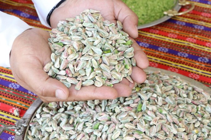 Baklavacılar fıstık fiyatlarından şikâyetçi