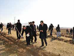 Van'da 420 bin meşe palamudu toprakla buluştu