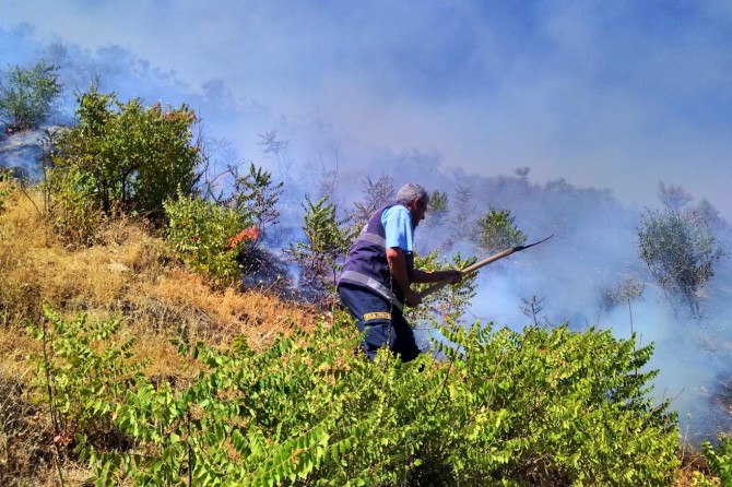 Bitlis'in Zeydan Mahallesinde ormanlık alanda çıkan yangın güçlükle kontrol altına alındı