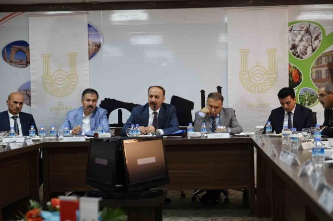 Türkiye'nin en büyük ağaçlandırma kampanyası: Hedef 100 milyon fidan