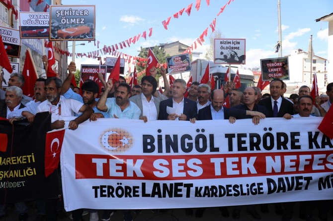 Bingöl'de "Annelere destek, PKK'ya lanet" yürüyüşü düzenlendi