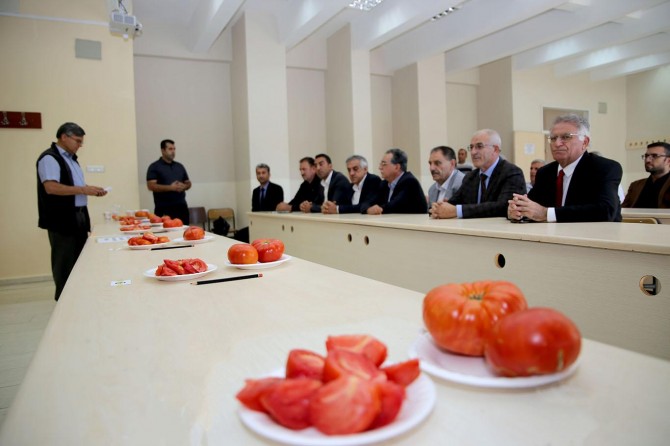 "Guldar Domatesi" için coğrafi işaret adımı