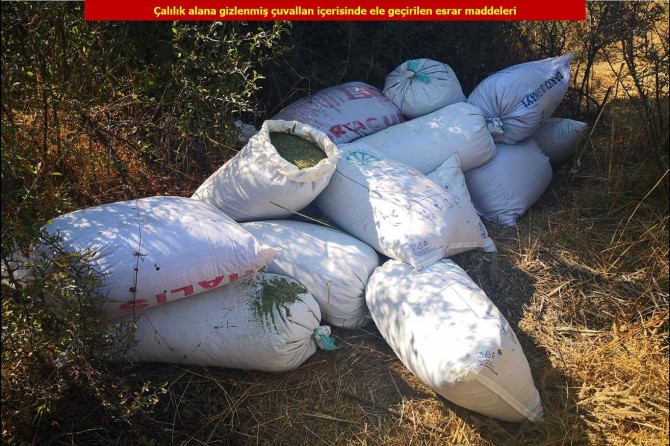 202 bin kök Hint keneviri ele geçirildi