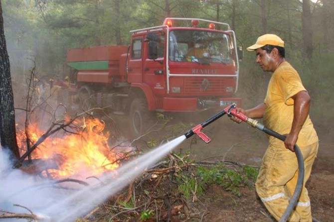 Îsal di şewatên daristanê de 5 hezar û 469 hektar herêm zirar dîtin