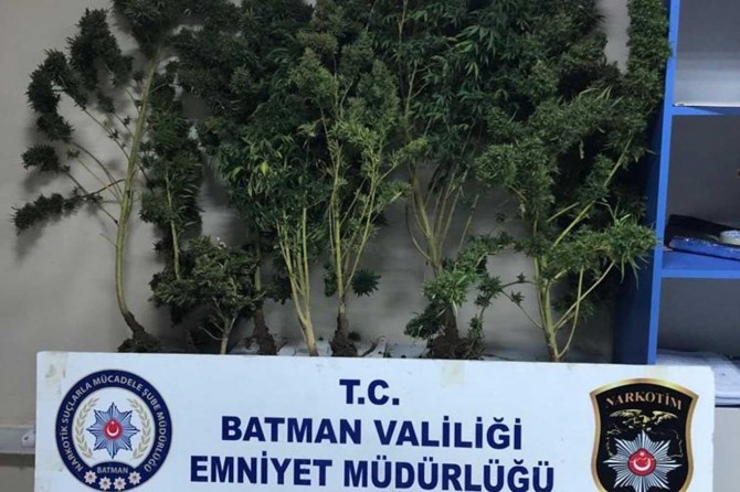 Batman'da ilk defa ekili halde skunk ele geçirildi