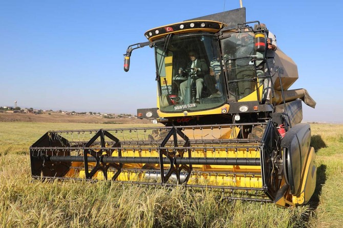 Tarım Müdürü Atalar çeltik hasadına katıldı