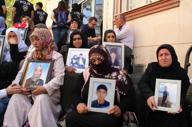 Hejmara dayikên ku çalakîyê li dar dixin derket 50î