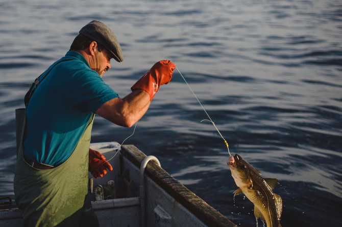 Yeni balık avcılığı yasası hazırlandı